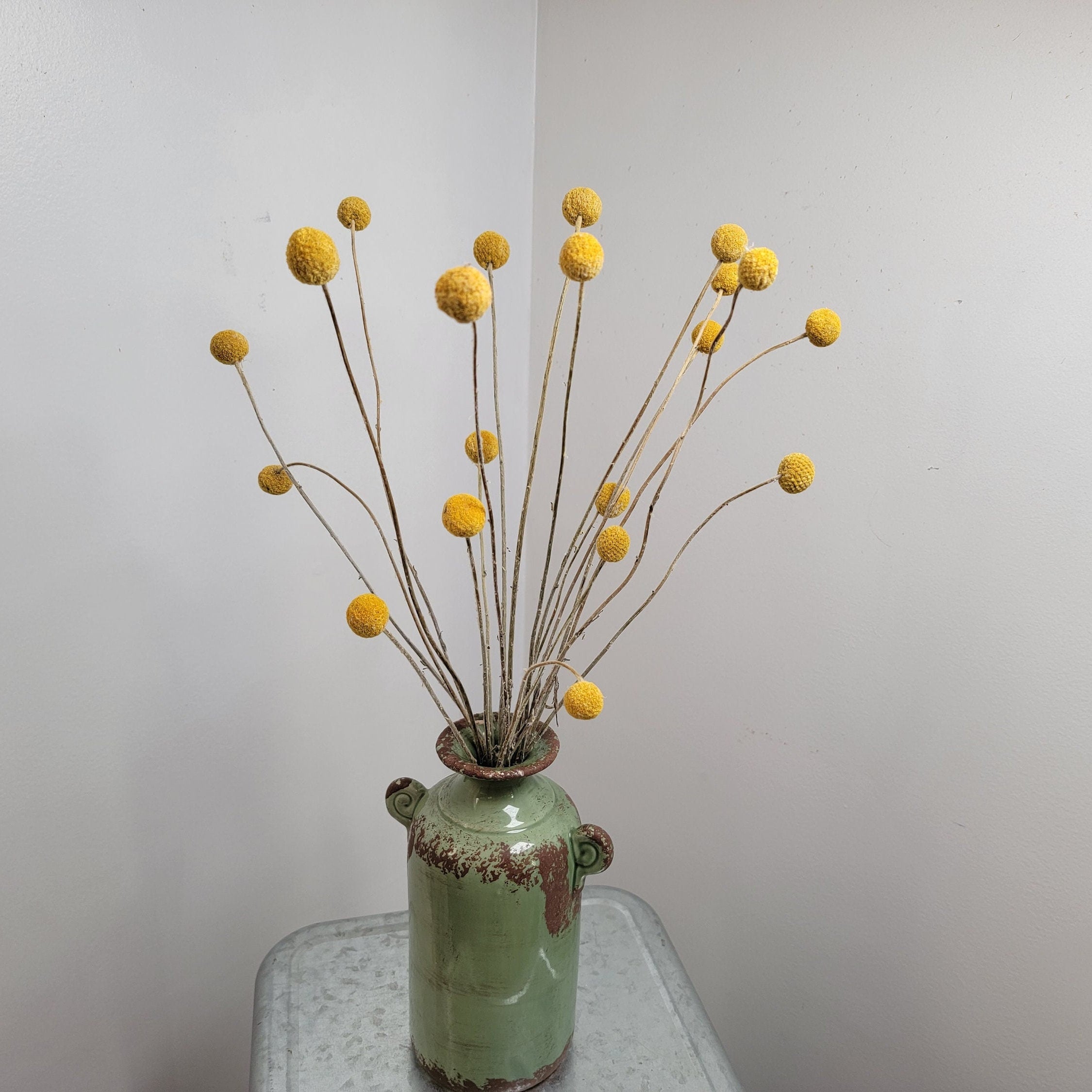 Yellow Craspedia Bundle: 20 Dried Billy Buttons, DIY Wedding Flowers