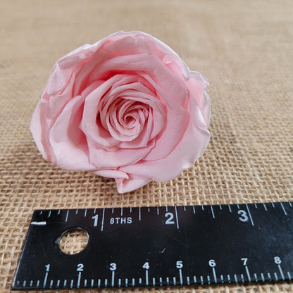 6 Light Pink Preserved Roses: DIY Floral Decor