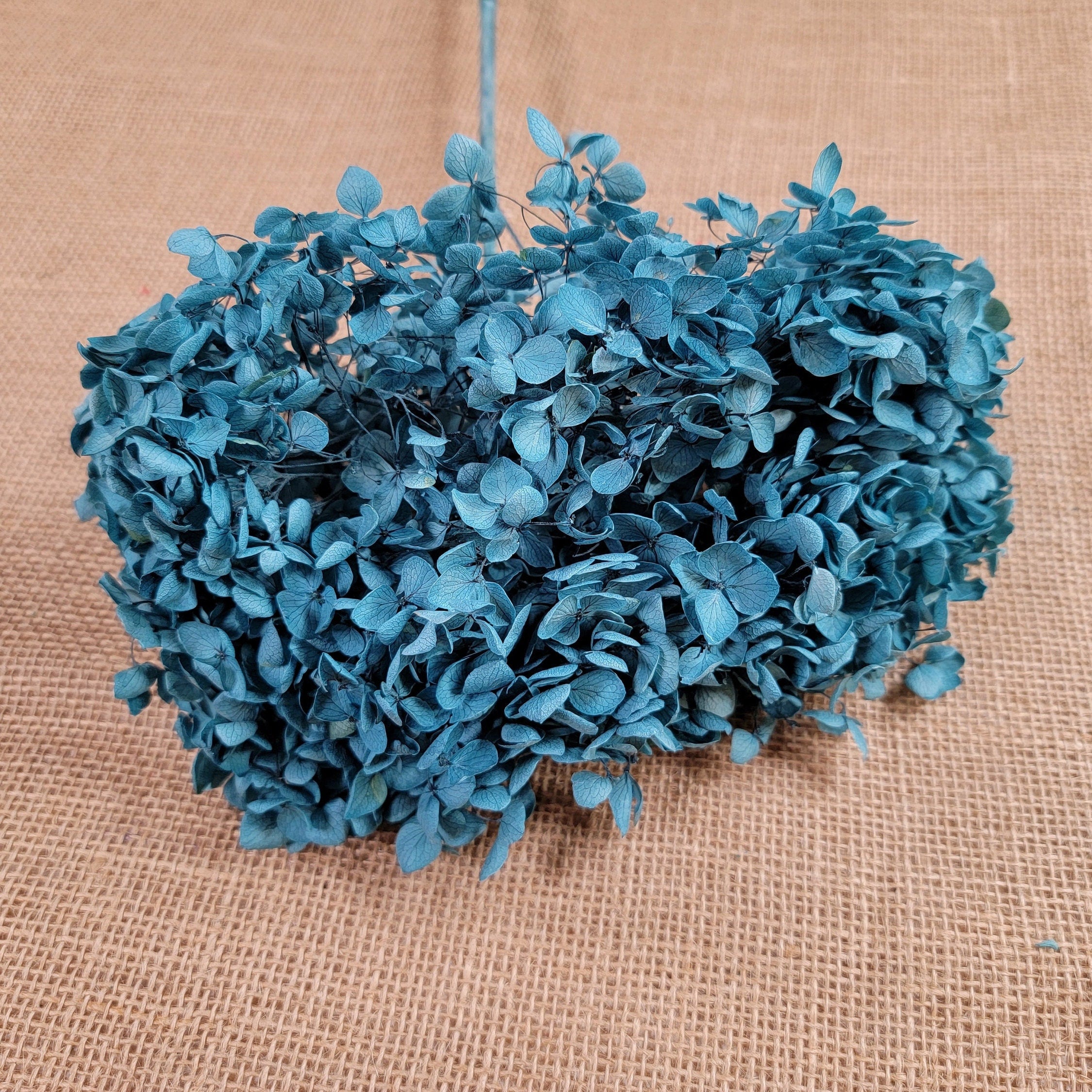 Blue Preserved Hydrangea: Real Dried Wedding Flowers
