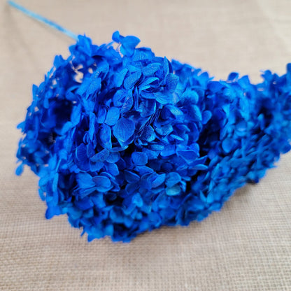 Blue Preserved Hydrangea: Real Dried Wedding Flowers