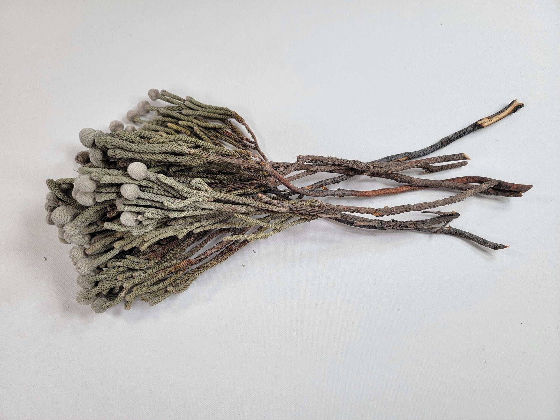Natural brunia silver, Dried Flowers, Wedding Flowers, Naturally Dried, Wedding bouquets
