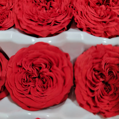 21 Red Preserved Roses: Dried Floral DIY Wedding Decor