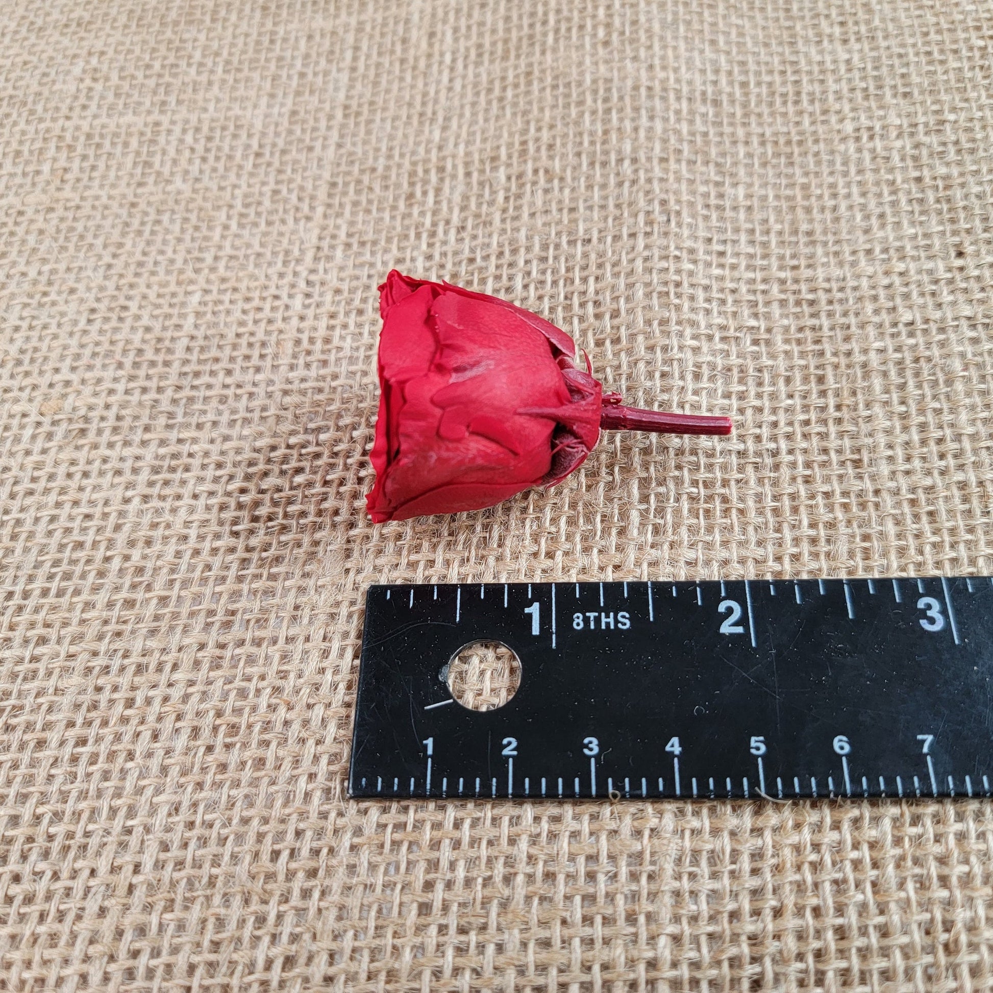 21 Red Preserved Roses: Dried Floral DIY Wedding Decor