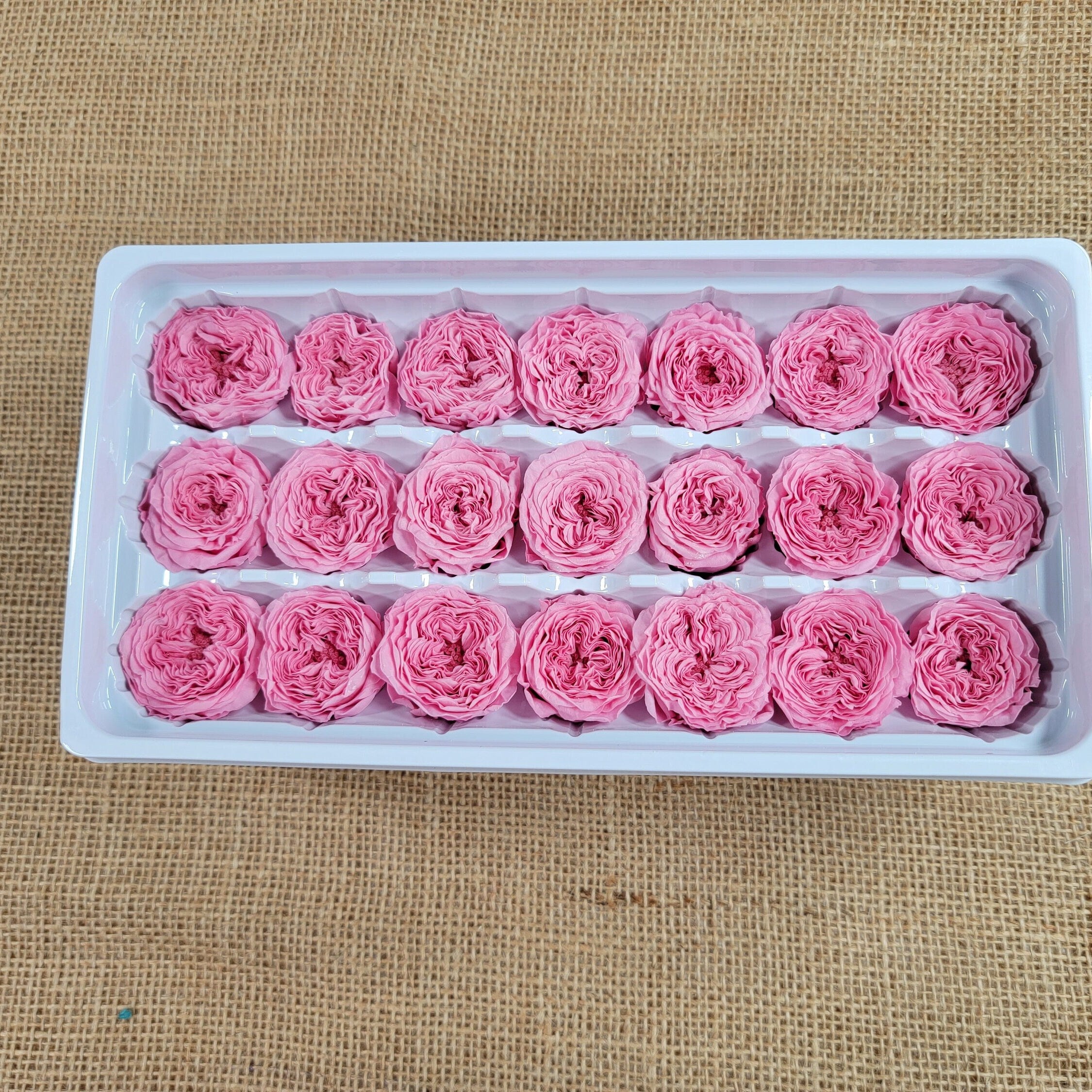 21 Preserved Roses Sweet Pink, Dried Flower / Prom, Mother's Day, Wedding Decor, Red Roses For Bouquet, Home Decor & DIY Floral Arrangements