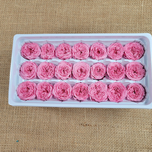 21 Preserved Roses Sweet Pink, Dried Flower / Prom, Mother's Day, Wedding Decor, Red Roses For Bouquet, Home Decor & DIY Floral Arrangements