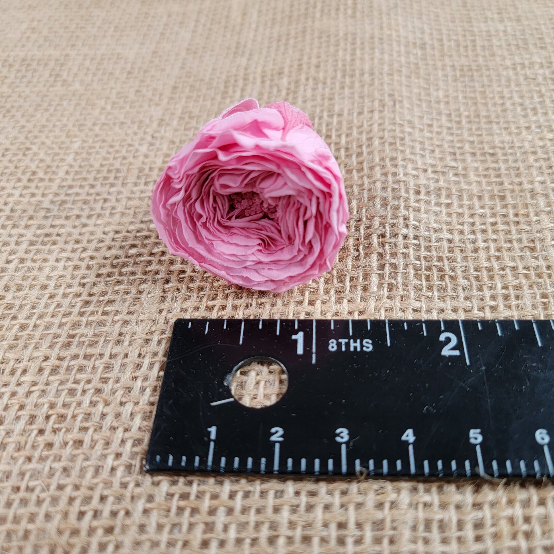21 Preserved Roses Sweet Pink, Dried Flower / Prom, Mother's Day, Wedding Decor, Red Roses For Bouquet, Home Decor & DIY Floral Arrangements