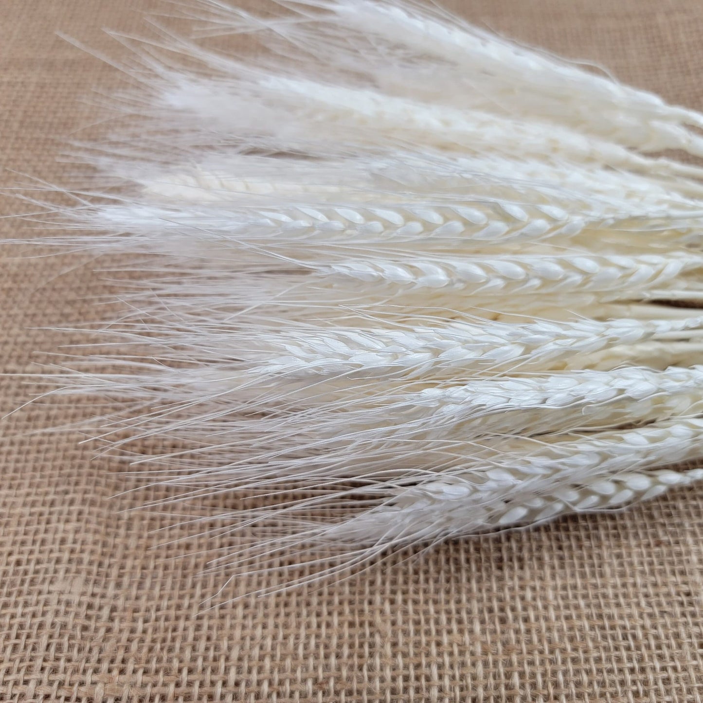 decorative natural plant dried real wheat shop decoration colorful flowers house decor grass wheat