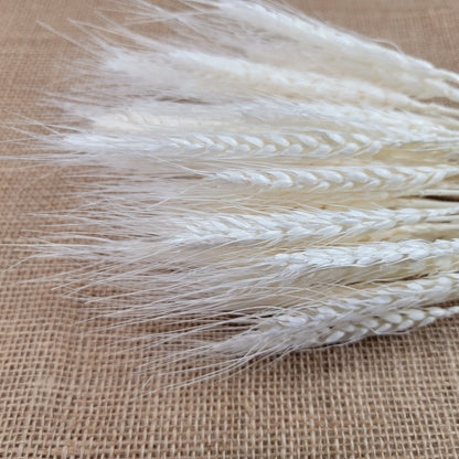 decorative natural plant dried real wheat shop decoration colorful flowers house decor grass wheat