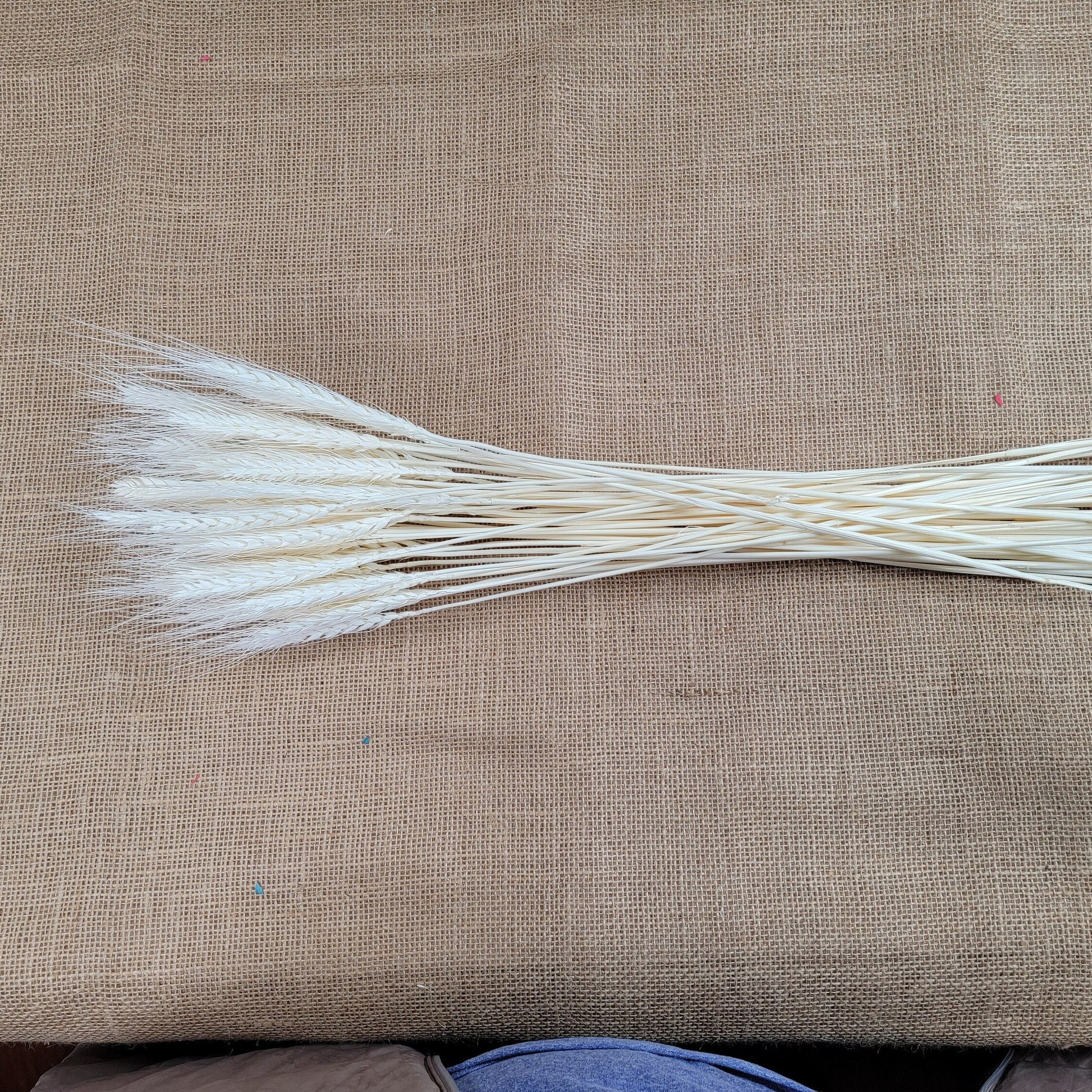 decorative natural plant dried real wheat shop decoration colorful flowers house decor grass wheat