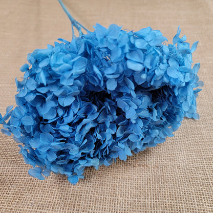 Blue Preserved Hydrangea: Real Dried Wedding Flowers