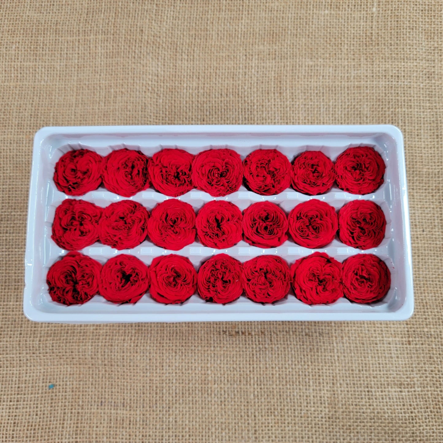 21 Red Preserved Roses: Dried Floral DIY Wedding Decor