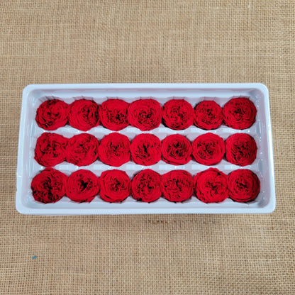 21 Red Preserved Roses: Dried Floral DIY Wedding Decor
