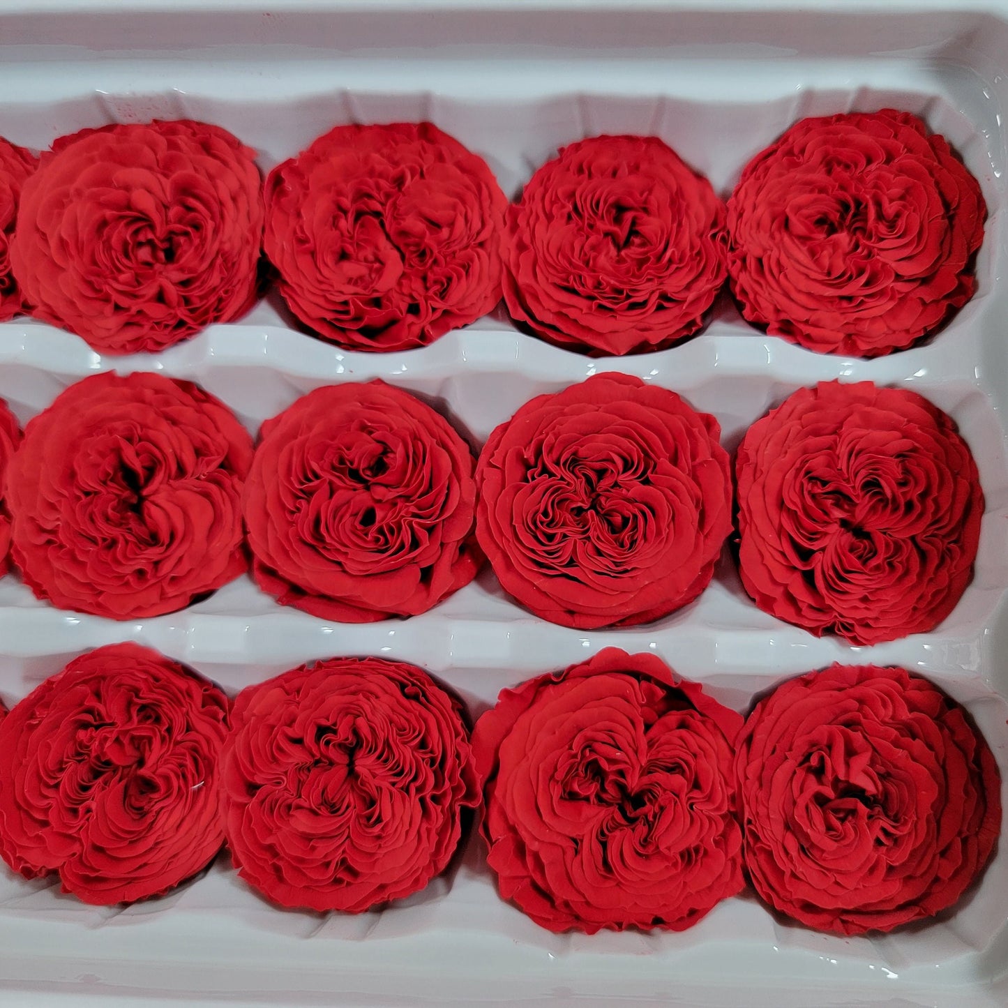 21 Red Preserved Roses: Dried Floral DIY Wedding Decor
