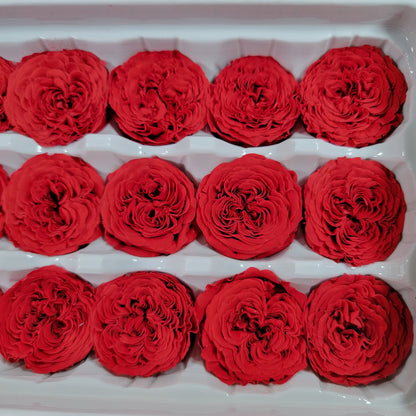 21 Red Preserved Roses: Dried Floral DIY Wedding Decor