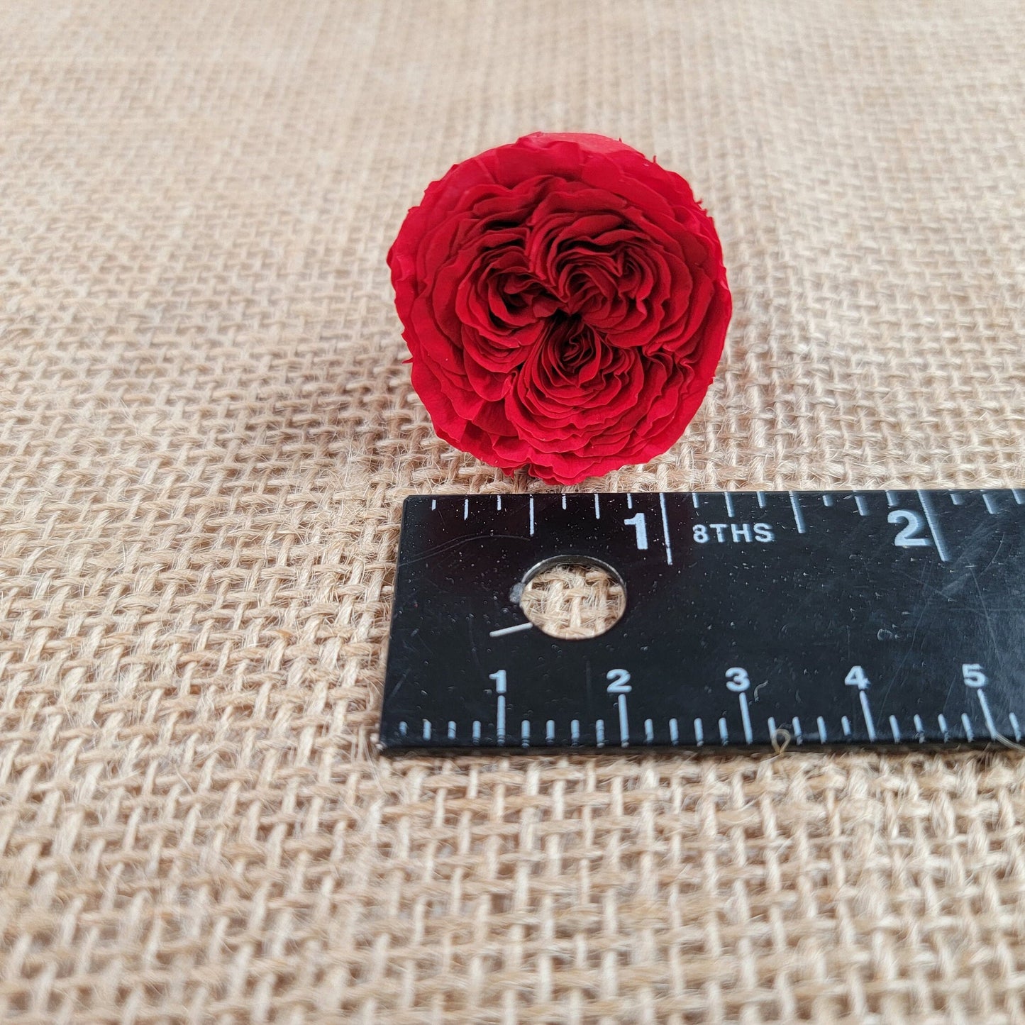 21 Red Preserved Roses: Dried Floral DIY Wedding Decor