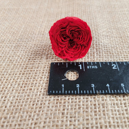 21 Red Preserved Roses: Dried Floral DIY Wedding Decor