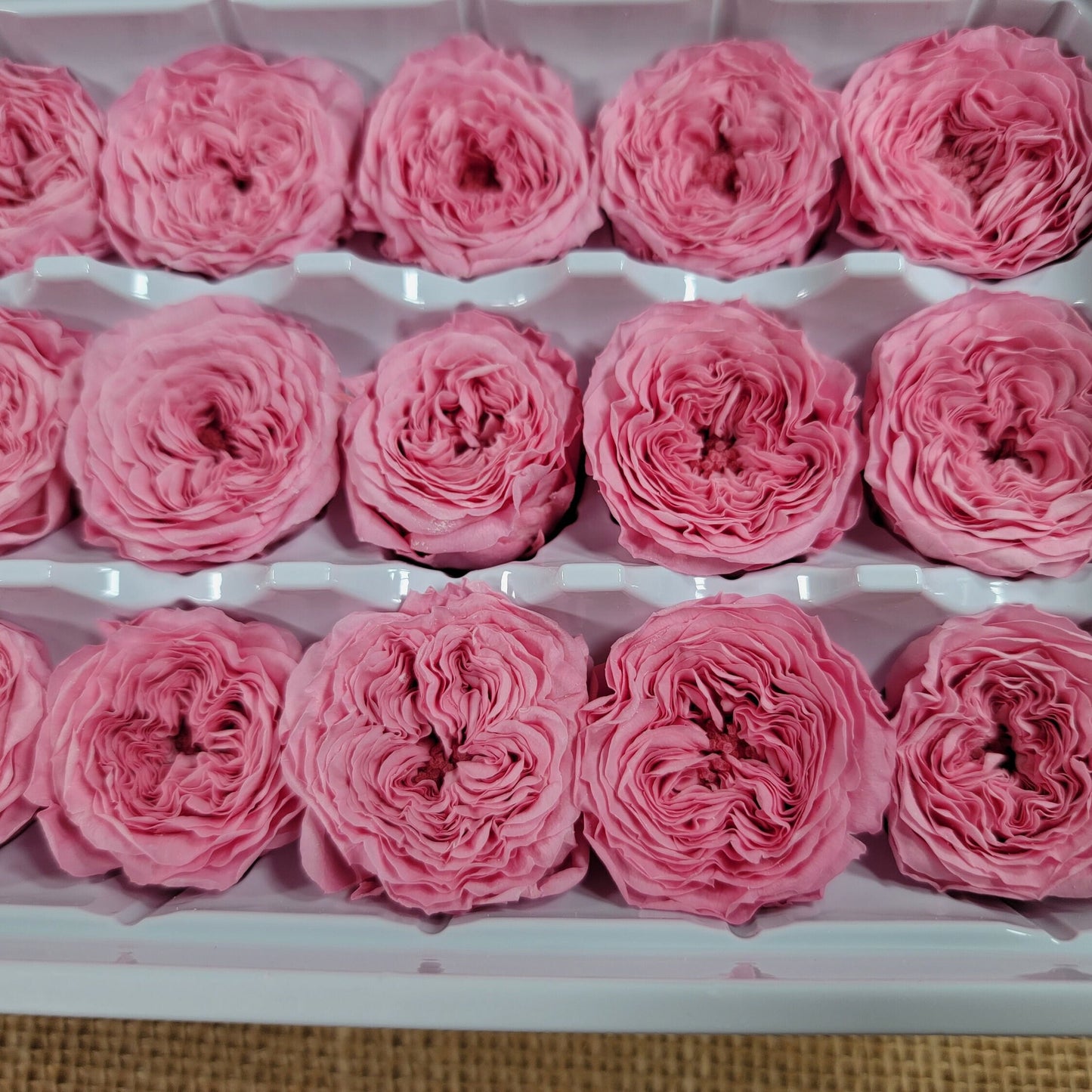 21 Preserved Roses Sweet Pink, Dried Flower / Prom, Mother's Day, Wedding Decor, Red Roses For Bouquet, Home Decor & DIY Floral Arrangements