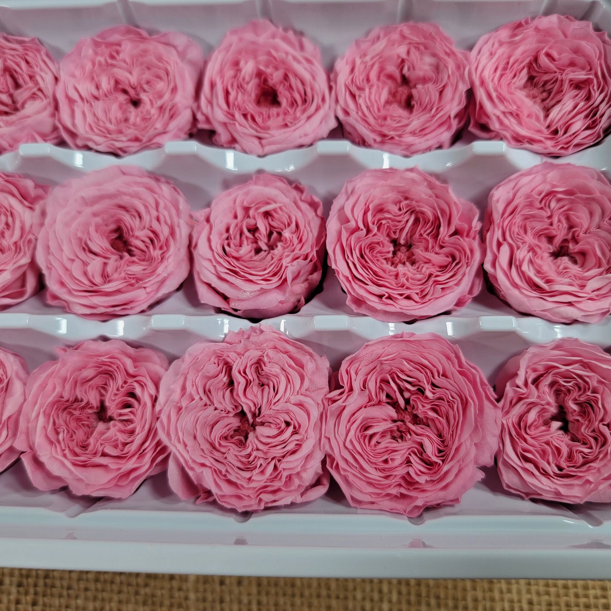 21 Preserved Roses Sweet Pink, Dried Flower / Prom, Mother's Day, Wedding Decor, Red Roses For Bouquet, Home Decor & DIY Floral Arrangements