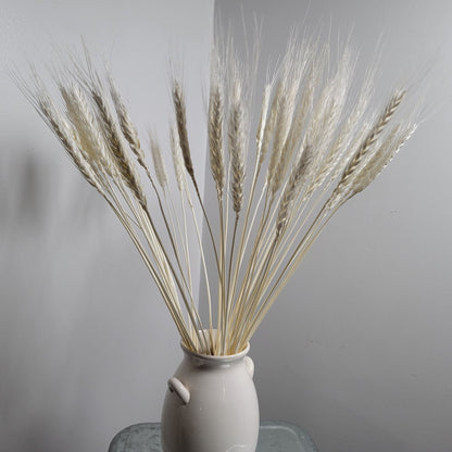 decorative natural plant dried real wheat shop decoration colorful flowers house decor grass wheat