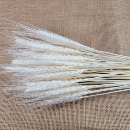 decorative natural plant dried real wheat shop decoration colorful flowers house decor grass wheat