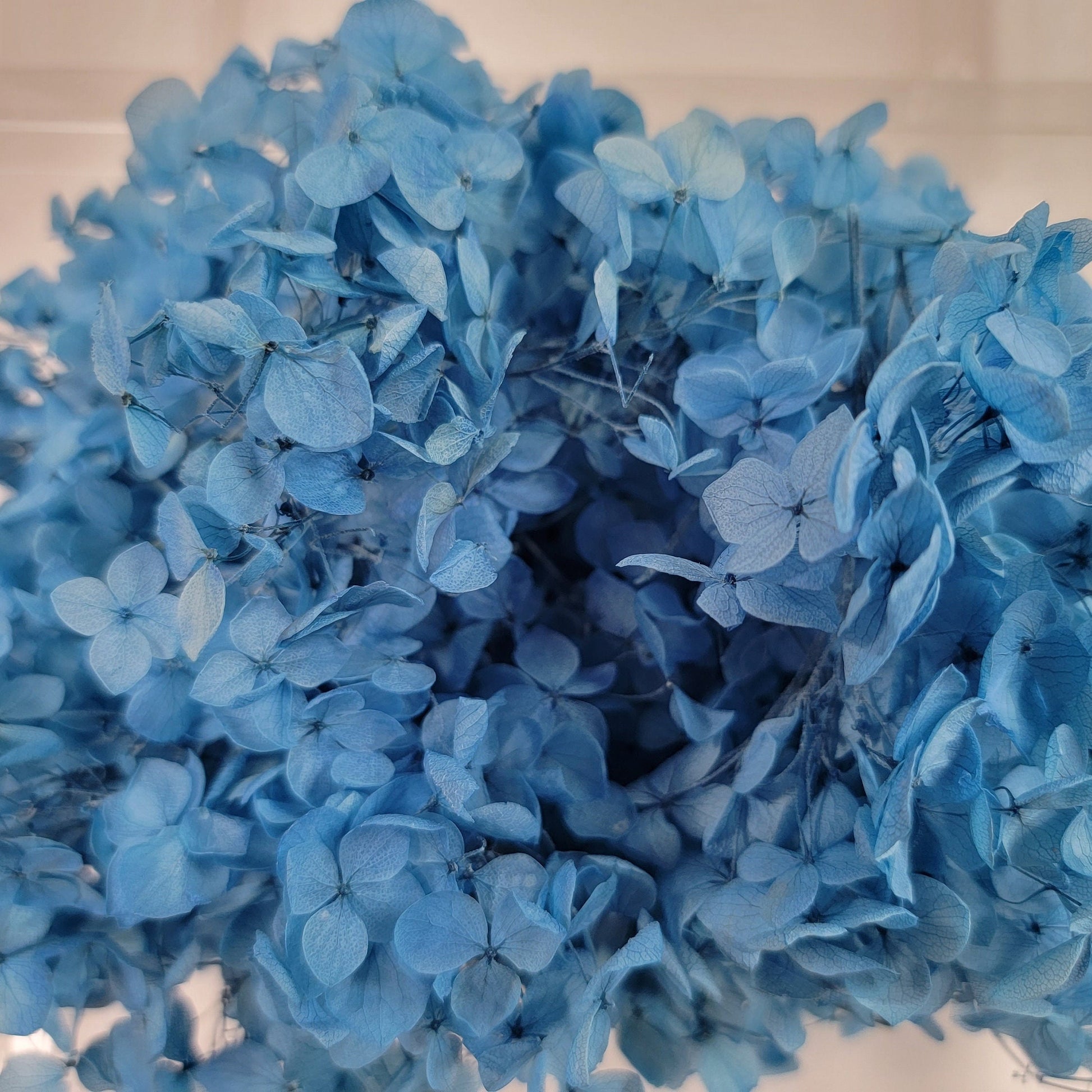 Preserved Hydrangeas: Colorful Dried Flowers, Wedding Home Decor