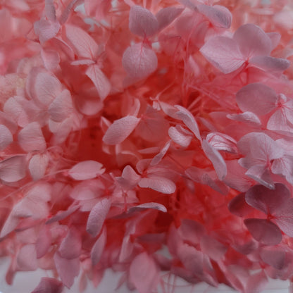 Preserved Hydrangeas: Colorful Dried Flowers, Wedding Home Decor