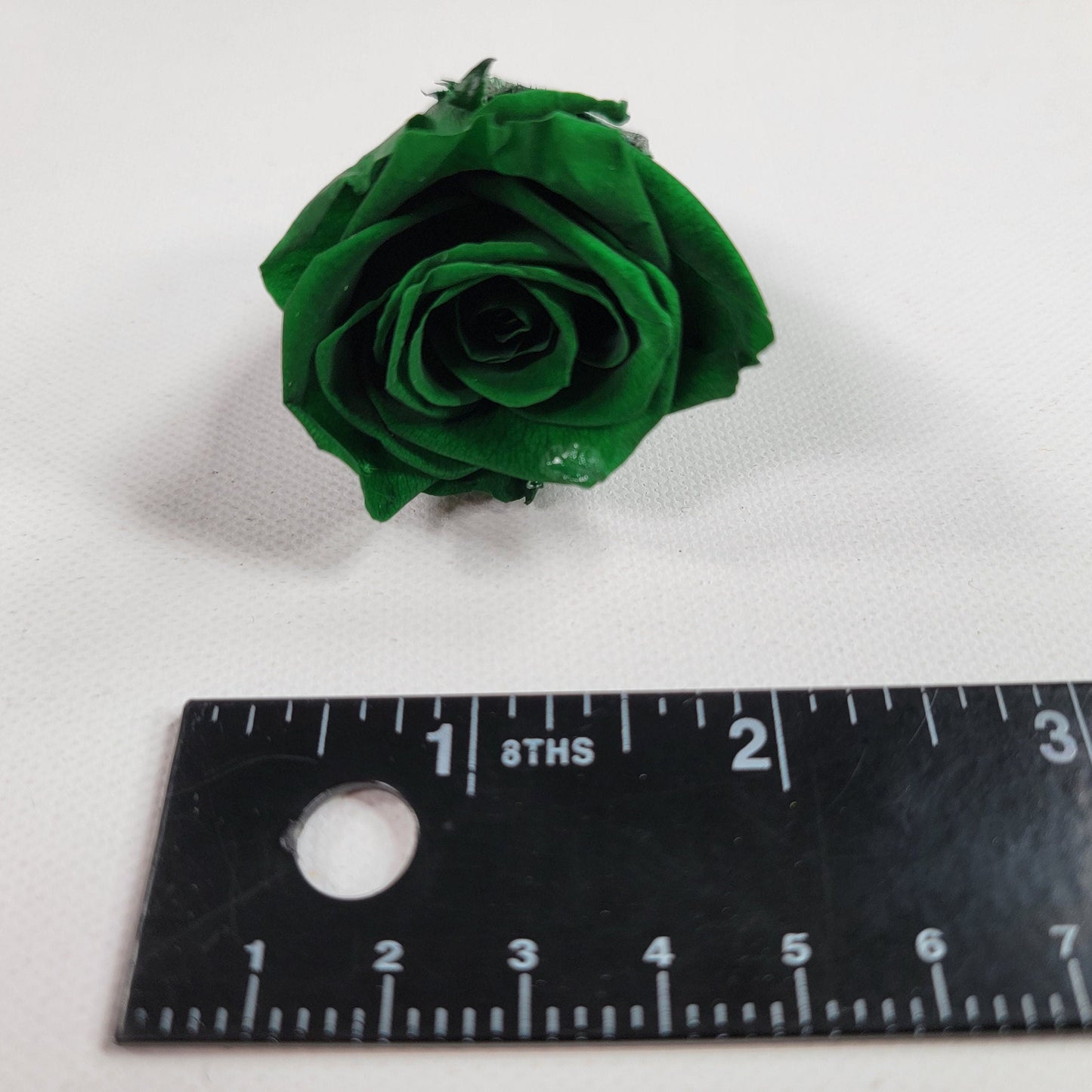 10 Dark Green Preserved Roses: DIY Floral Arrangements