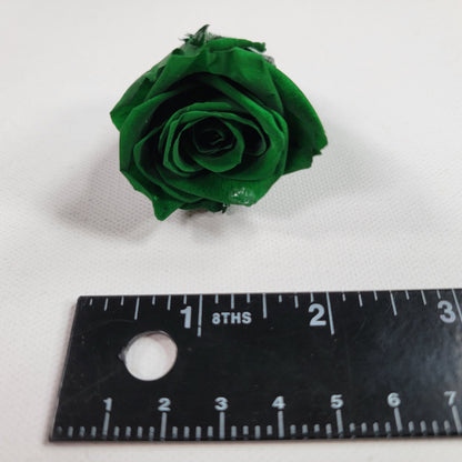 10 Dark Green Preserved Roses: DIY Floral Arrangements