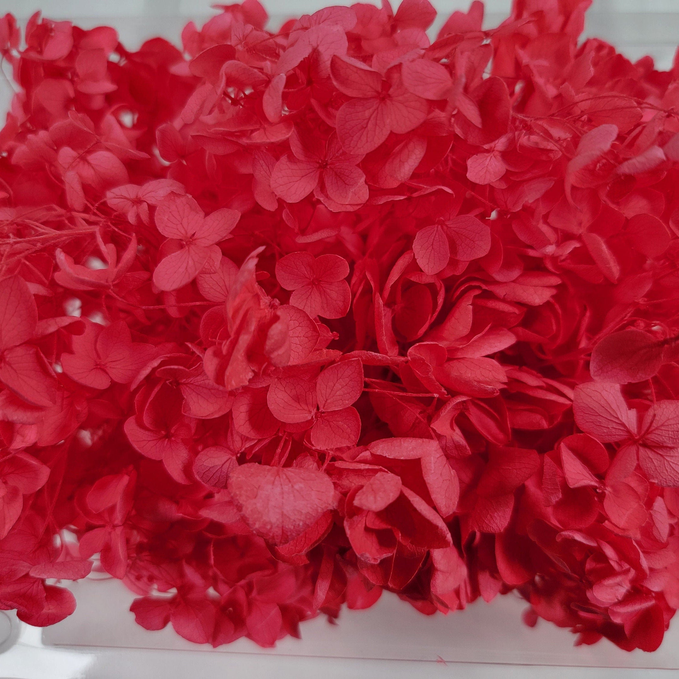 Preserved Hydrangeas: Colorful Dried Flowers, Wedding Home Decor
