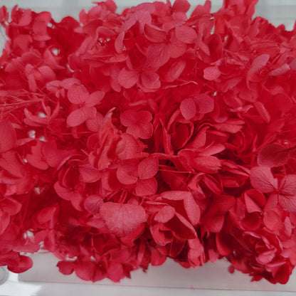 Preserved Hydrangeas: Colorful Dried Flowers, Wedding Home Decor
