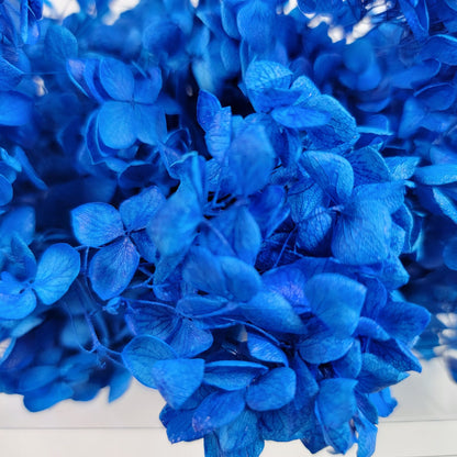 Preserved Hydrangeas: Colorful Dried Flowers, Wedding Home Decor