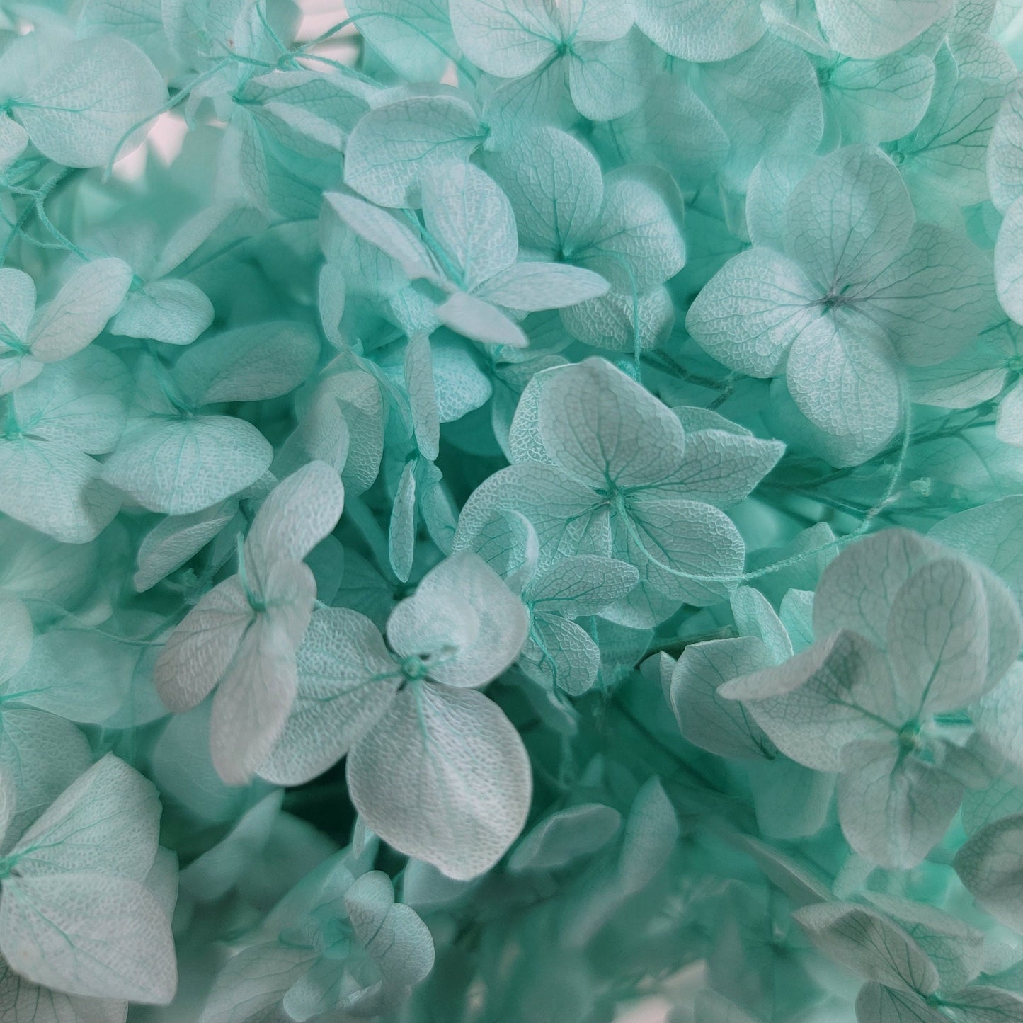 Preserved Hydrangeas: Colorful Dried Flowers, Wedding Home Decor