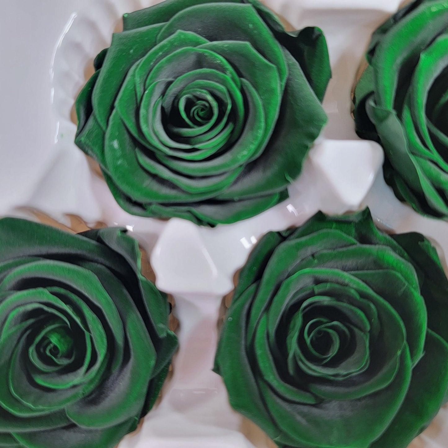 6 Dark Green Preserved Roses: DIY Floral Arrangements