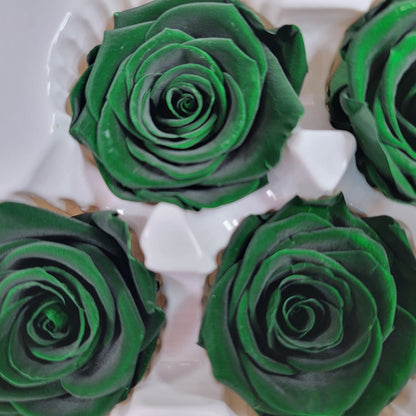 6 Dark Green Preserved Roses: DIY Floral Arrangements