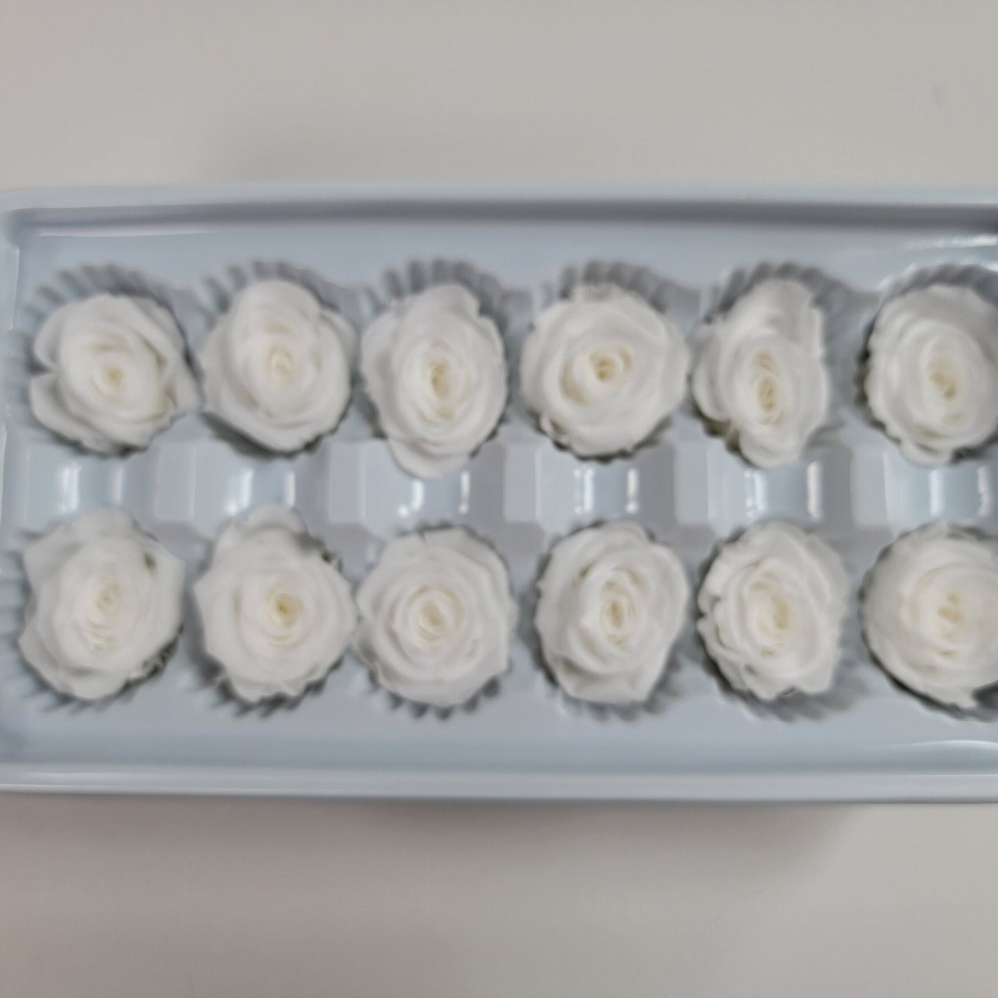 12 White Preserved Roses: DIY Floral Arrangements, Wedding Decor