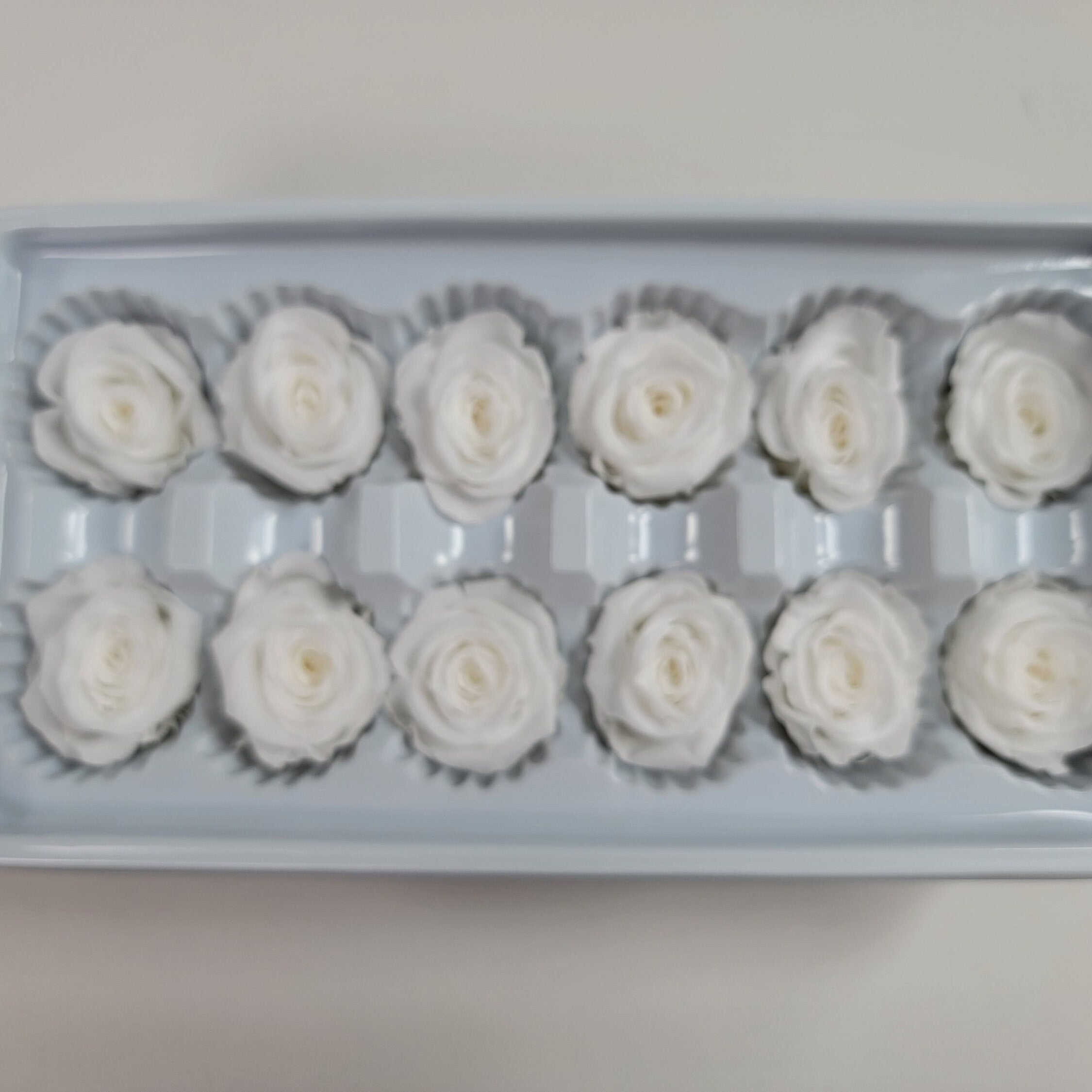 12 White Preserved Roses: DIY Floral Arrangements, Wedding Decor