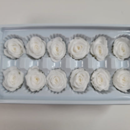 12 White Preserved Roses: DIY Floral Arrangements, Wedding Decor