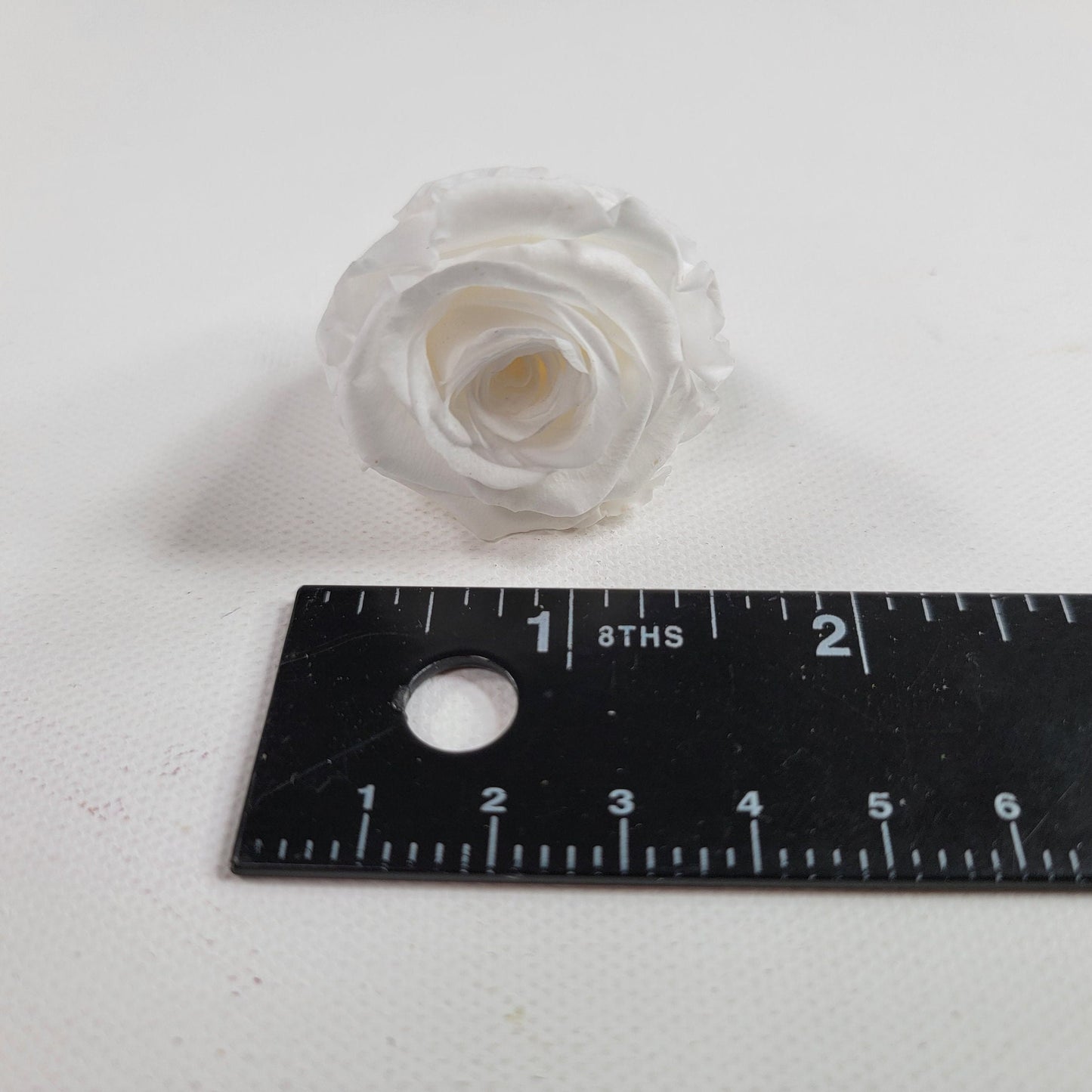 12 White Preserved Roses: DIY Floral Arrangements, Wedding Decor