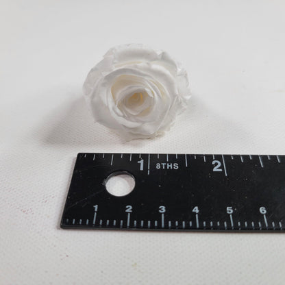 12 White Preserved Roses: DIY Floral Arrangements, Wedding Decor