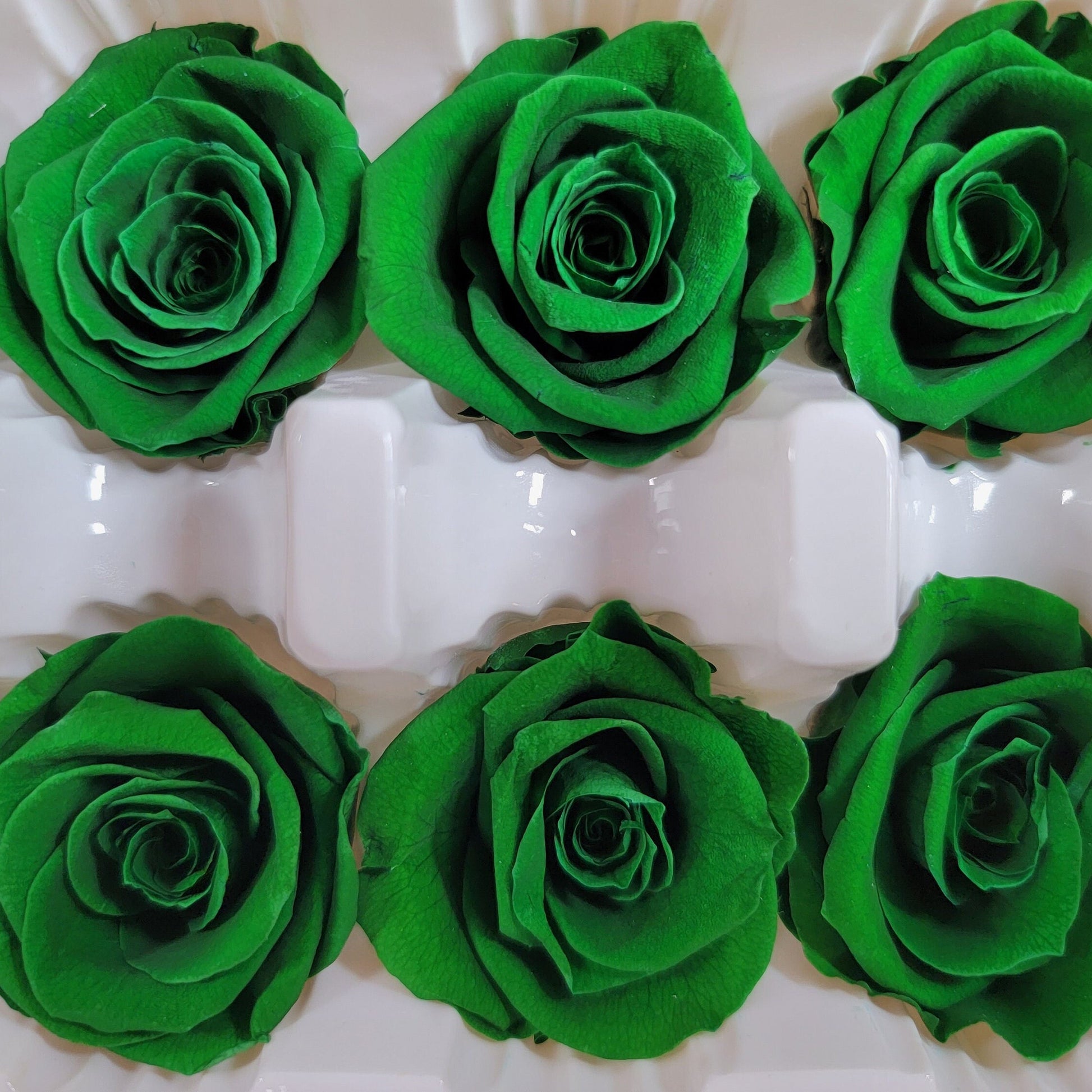 12 Dark Green Preserved Roses: DIY Floral Arrangements