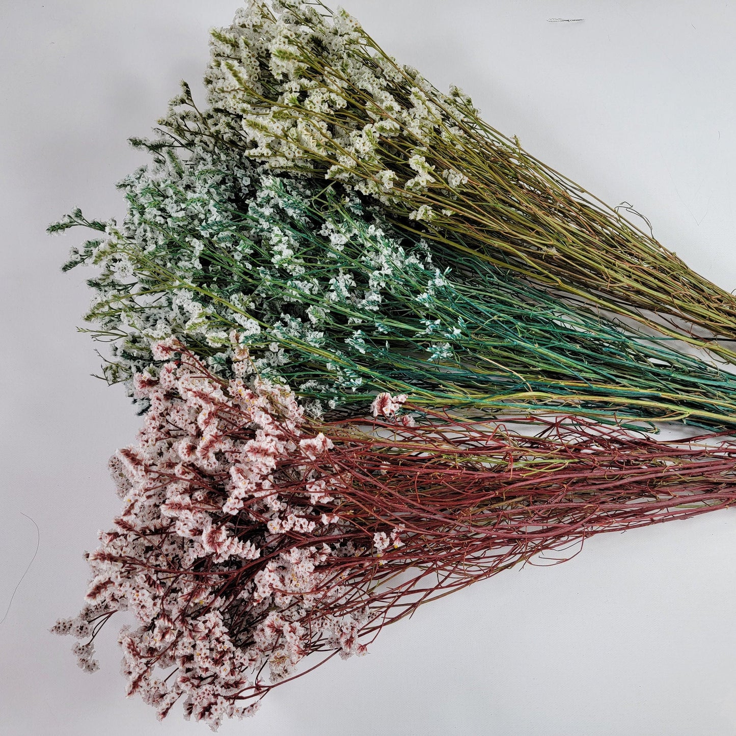 White Preserved German Statice: Dried Limonium Flowers (19-20" Tall)