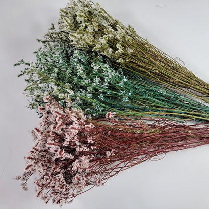 White Preserved German Statice: Dried Limonium Flowers (19-20" Tall)