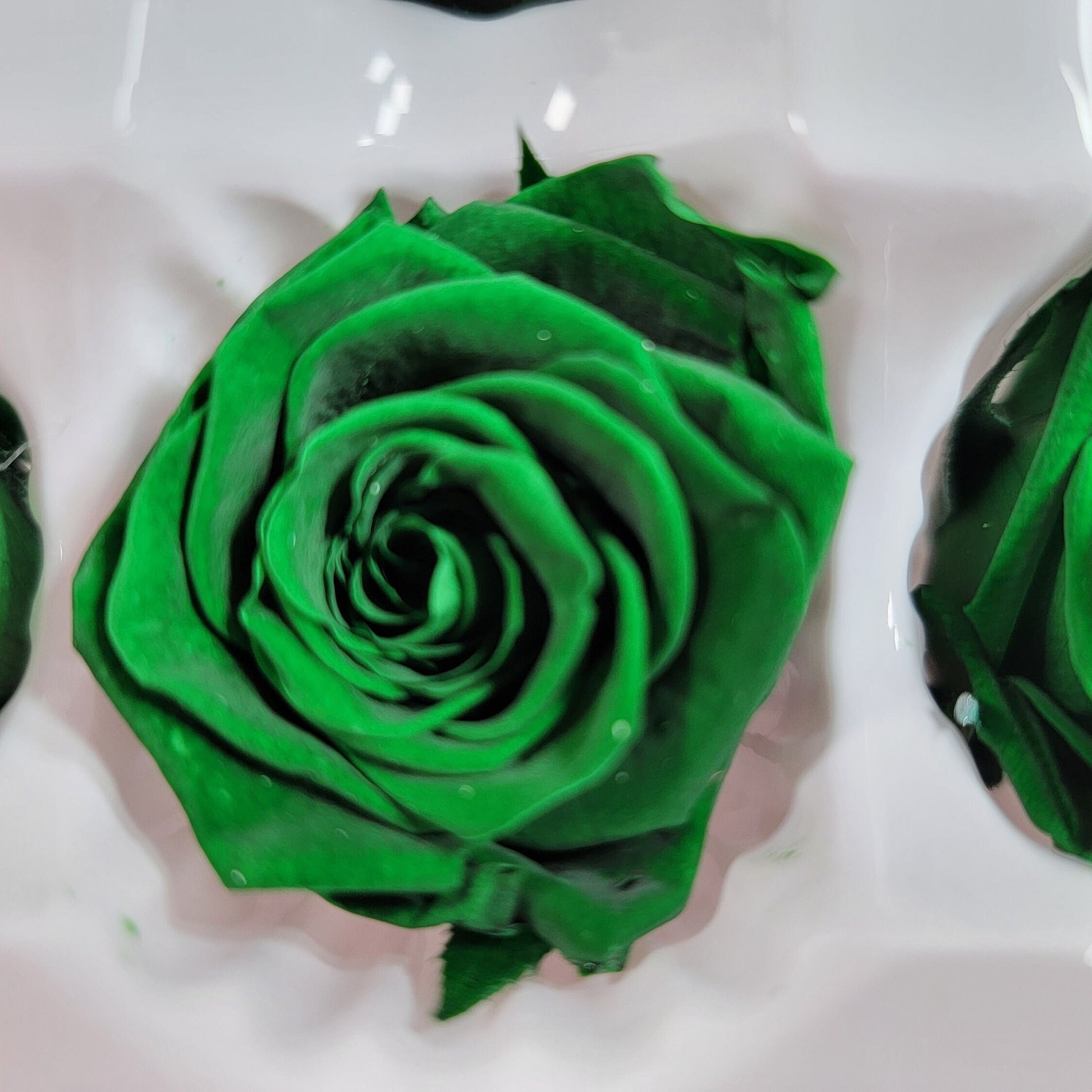 10 Dark Green Preserved Roses: DIY Floral Arrangements