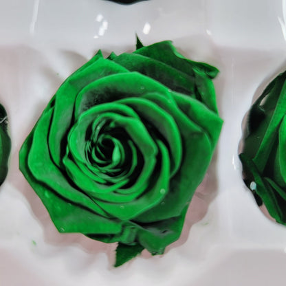 10 Dark Green Preserved Roses: DIY Floral Arrangements
