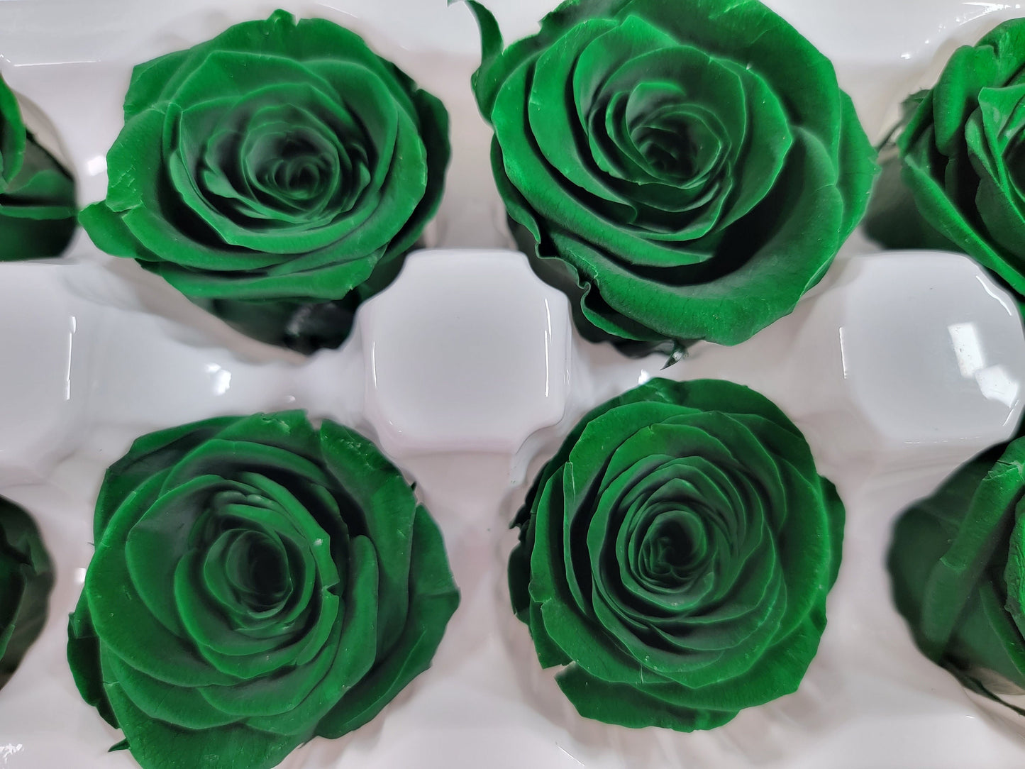 8 Dark Green Preserved Roses: DIY Floral Arrangements