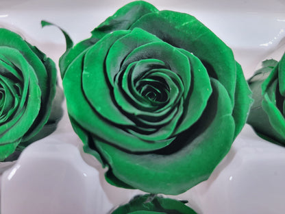 8 Dark Green Preserved Roses: DIY Floral Arrangements