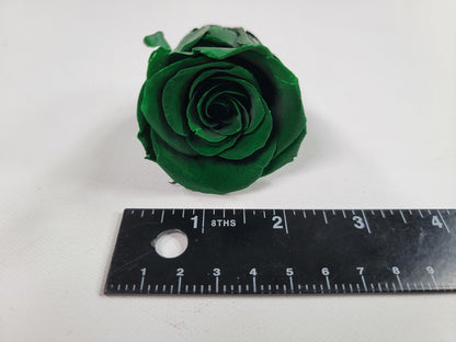 8 Dark Green Preserved Roses: DIY Floral Arrangements