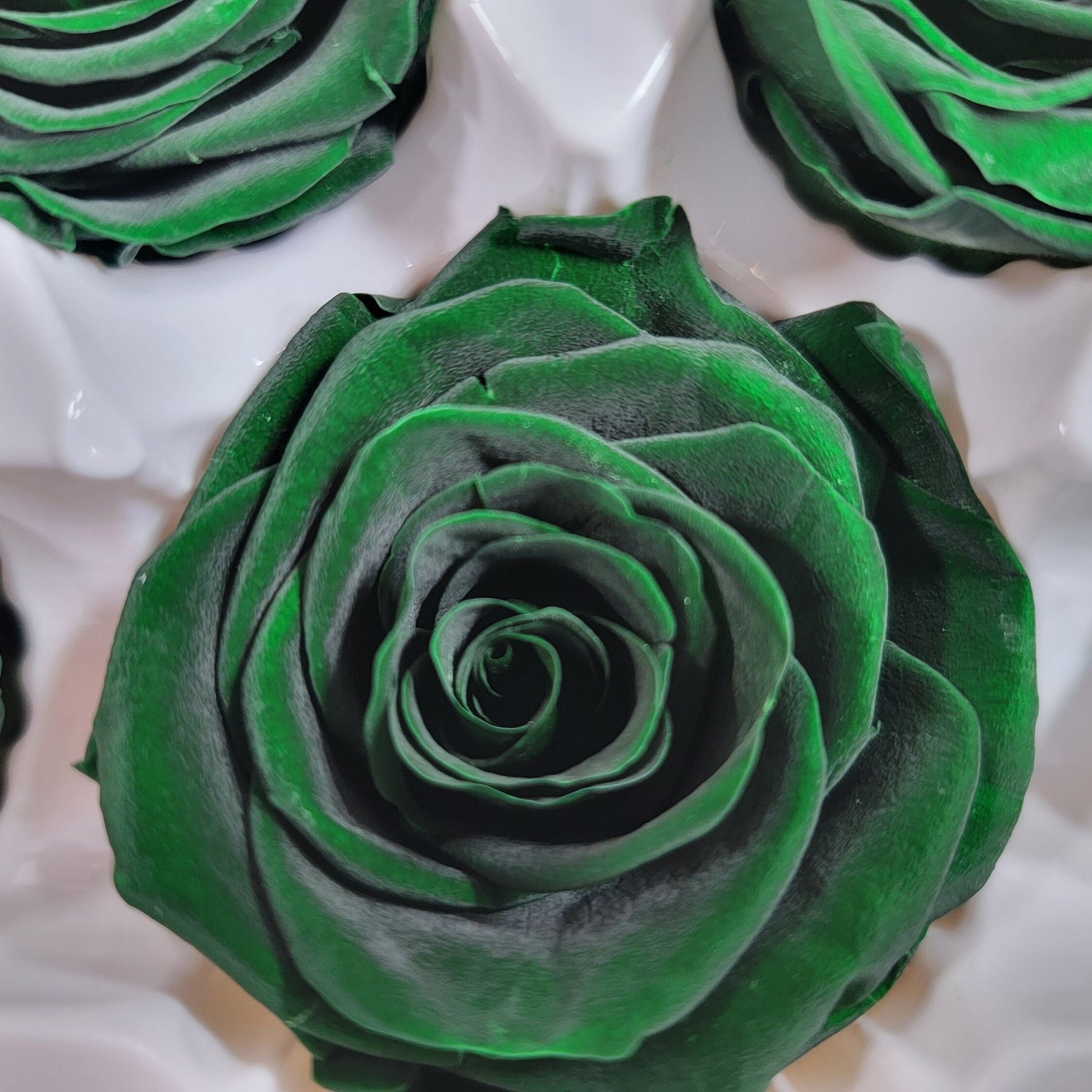 6 Dark Green Preserved Roses: DIY Floral Arrangements