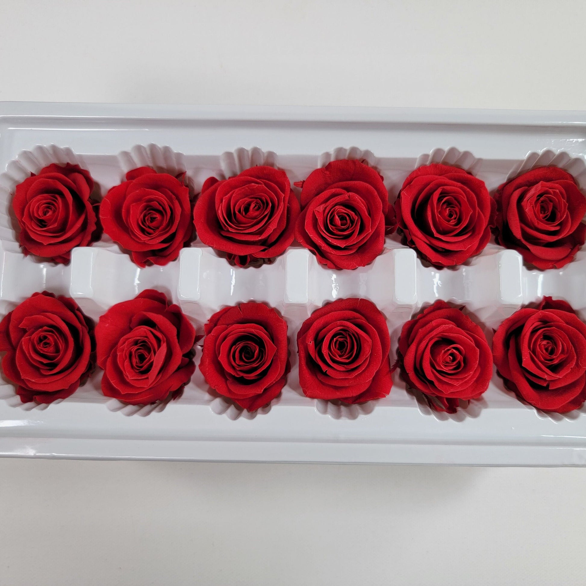 12 Red Preserved Roses: DIY Floral Arrangements & Wedding Decor