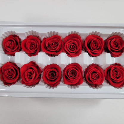 12 Red Preserved Roses: DIY Floral Arrangements & Wedding Decor